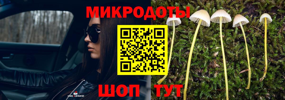 Псилоцибиновые грибы ЛСД  Вход с VPN  Псилоцибиновые грибы ЛСД  Пушкино 
