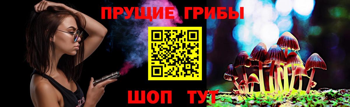 Псилоцибиновые грибы Psilocybe Пушкино